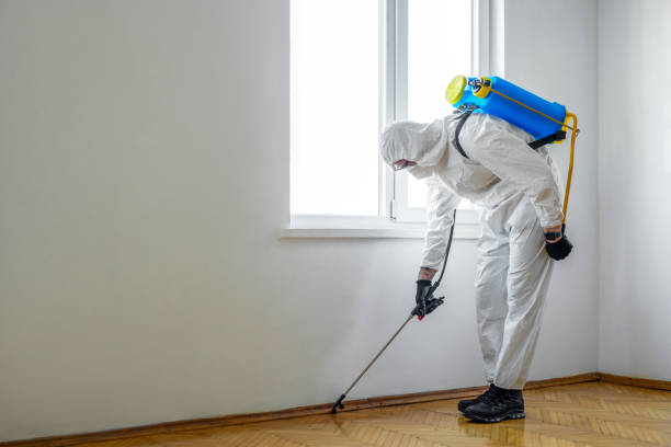 Best Bed Bug Extermination  in New Pek, IN