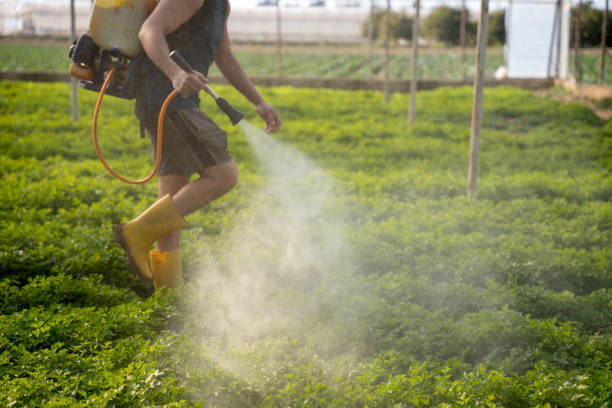 Best Pest Prevention Services  in New Pek, IN