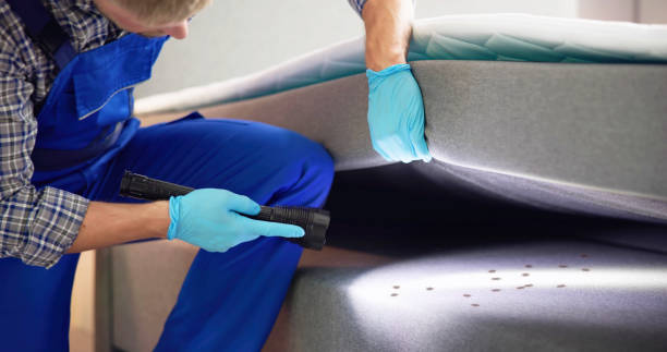 Best Wasp Removal Services  in New Pek, IN