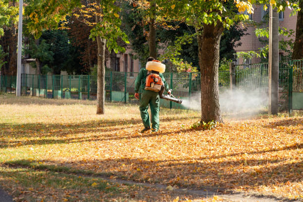 Bird Control in New Pekin, IN