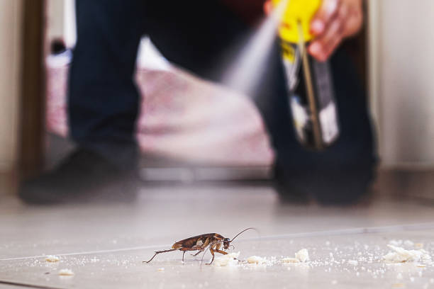 Best Local Pest Control Services  in New Pek, IN